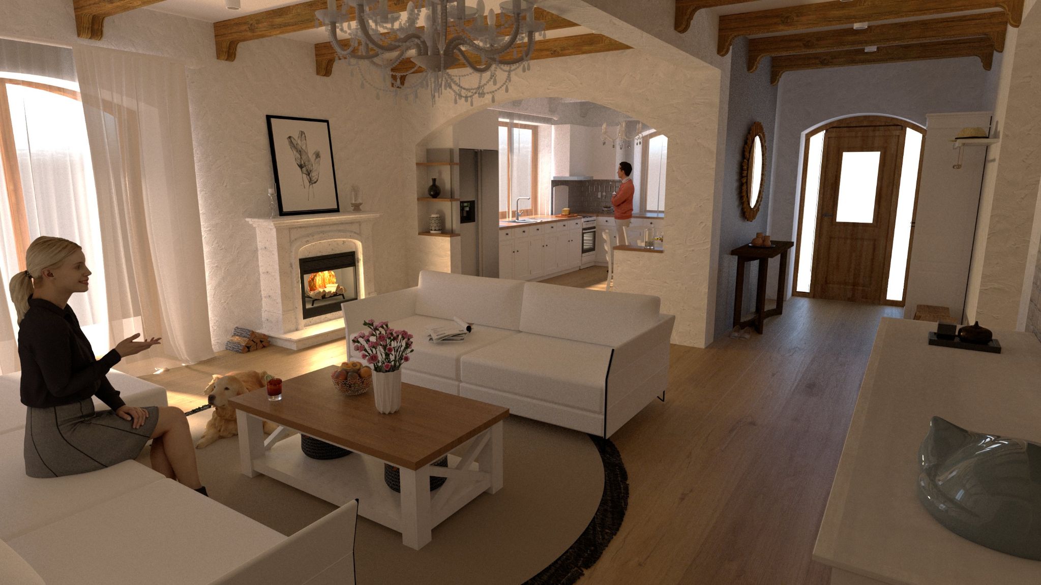 Casa Marcel si Dana   V ok ö17